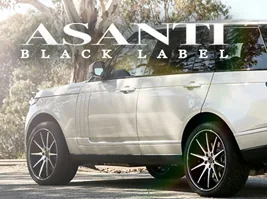 Asanti Black Label wheel
